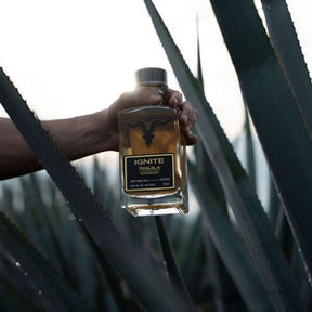 Ignite Tequila Blanco